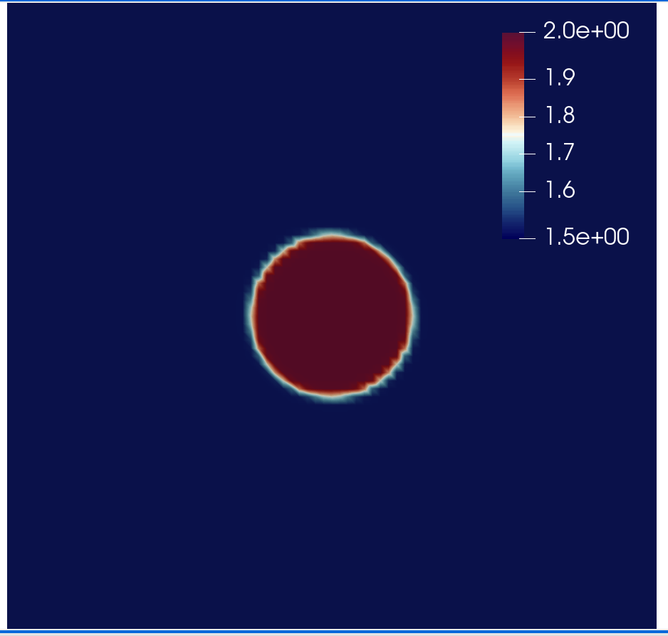 true velocity model